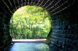 伊豆の踊子の舞台『旧天城トンネル』